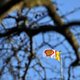 Juridische tegenslag voor Shell in Alaska