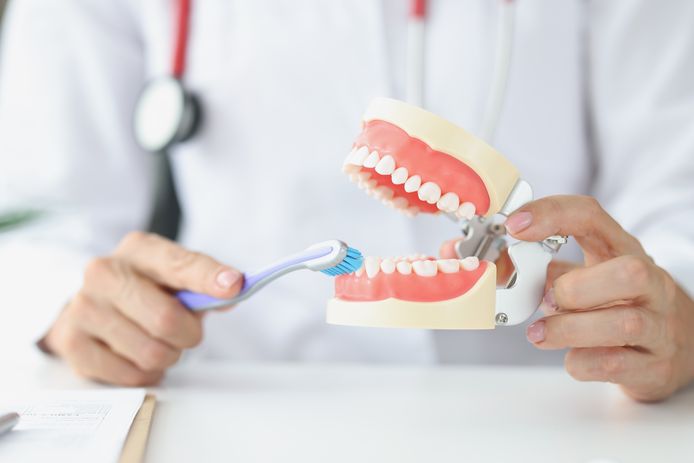 Parodontoloog-tandarts dr. Liene Molly legt uit hoe je je tanden best kunt poetsen.
