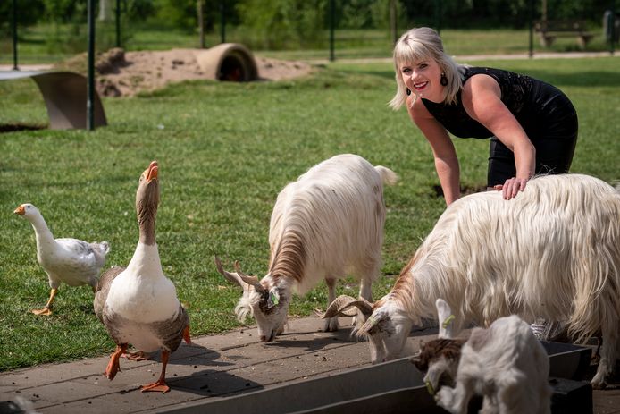 Beheerder Steffie in dierenpark Veronica aan de Lidwinastraat. De parelhoenders zijn inmiddels weg, hoe lang mogen de ganzen nog blijven?