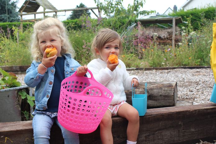 Kinderopvang Clara di Luna heeft eigen moes- en fruittuin waarin kinderen hun groenten en fruit zélf kweken en plukken. I-pads en televisie zijn er niet welkom