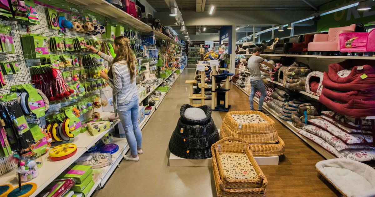 waarschijnlijkheid Lucht het laatste Dierenwinkel van 2500 m2 op bedrijventerrein Nieuwkuijk | Heusden | bd.nl
