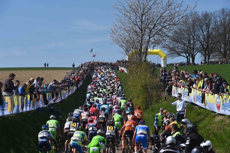 null Beeld Tim De Waele