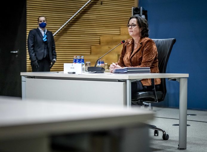 Tamara van Ark was staatssecretaris van Sociale Zaken en Werkgelegenheid tussen 2017 en 2020.