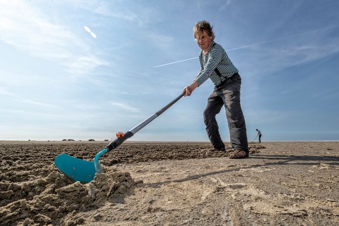 Nico Laan maakt zandtekeningen op het strand bij Monster