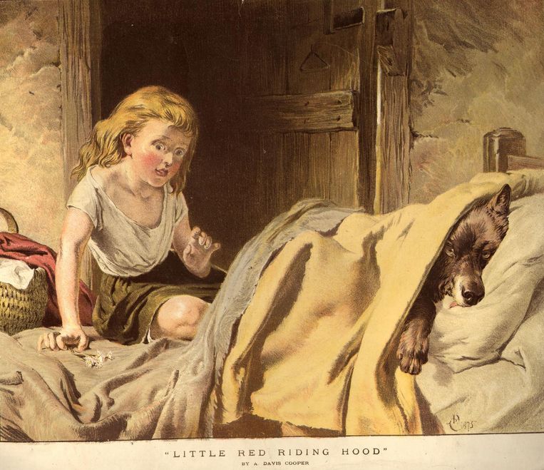 Roodkapje en de wolf, Illustratie van Dave Cooper, circa 1812. Beeld Getty Images