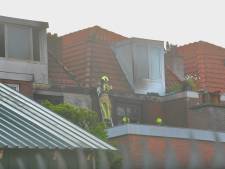 Brandweer redt katten bij grote brand in woning Regentesselaan