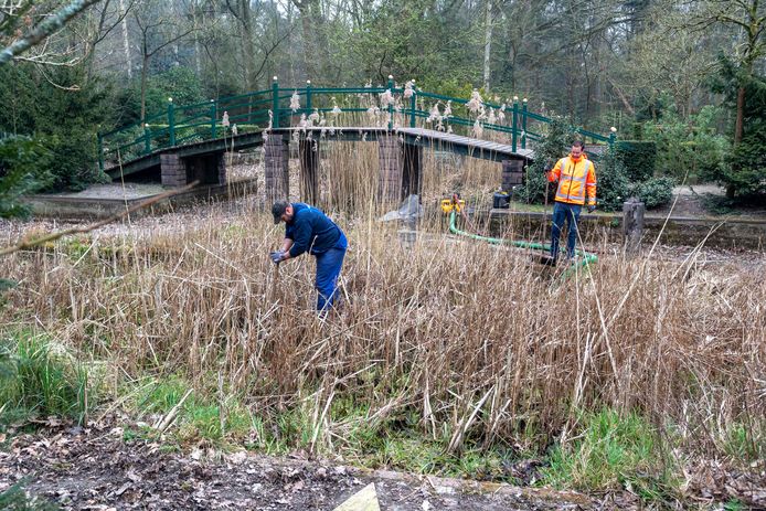 De kloostervijver van de broeders van Huijbergen wordt na lange tijd opgeknapt. De vijver wordt leeggepompt en schoongeschept.