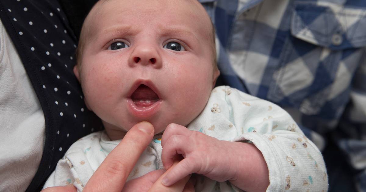 Baby Thomas Uit Groessen Is Vijf Weken En Heeft Al Tandjes Duiven Gelderlander Nl