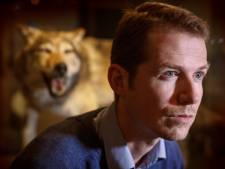 De Hoge Veluwe mag wolf niet zomaar buiten het hek zetten: 'Park heeft een lastig verhaal’
