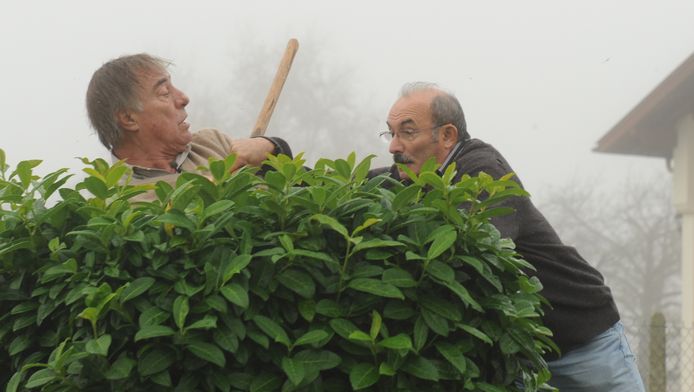afp
