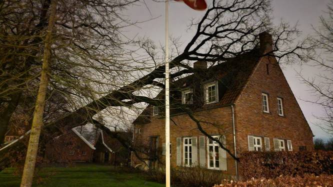 Boom valt tegen vrijstaand huis in Hengelo aan, brandweer met hoogwerker ter plaatse