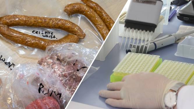 ‘Horrorfokker’ handelt in bedorven vlees: ‘Wie dit rauw eet, belandt gegarandeerd in het ziekenhuis’