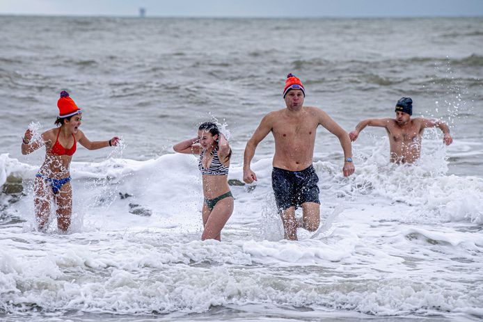 Nieuwjaarsduik