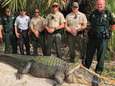 Kolossale alligator gevangen in park Florida maar in Australië nóg grotere krokodil, na acht jaar jacht
