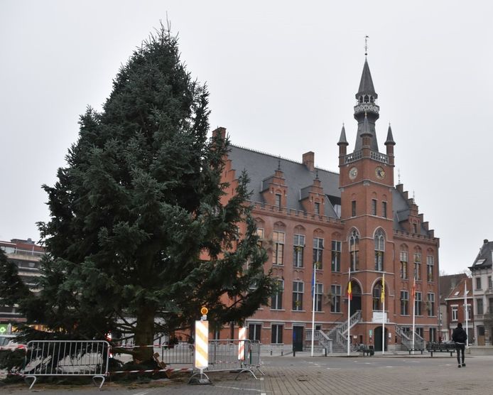 De kerstboom van Maldegem werd donderdagmiddag geplaatst.