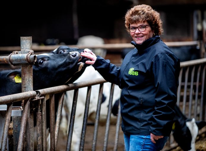 Ingrid de Sain, leader del partito per conto del BBB nell'Olanda Settentrionale.  “Uno scout deve essere neutrale."