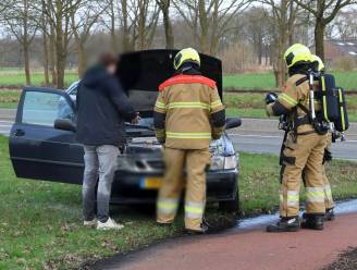 Heldhaftige bestuurder blust autobrand zelf met slootwater in Boxtel