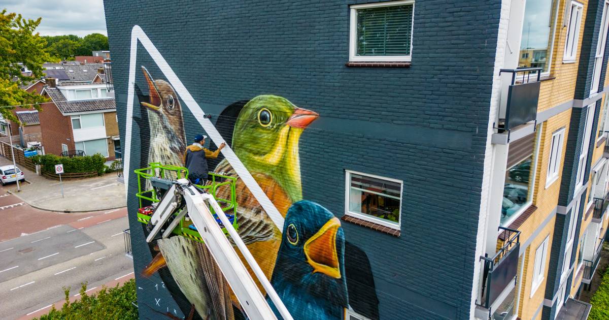 Kleurrijke vogels van Joost leuken steeds meer gebouwen op: ‘Het maakt veel los in ons buurtje’