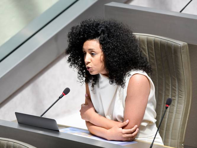 Ook Dries Van Langenhove (VB) en Jinnih Beels (sp.a) werden gesponsord. Hoeveel "witte konijnen" kregen geld van hun partij?