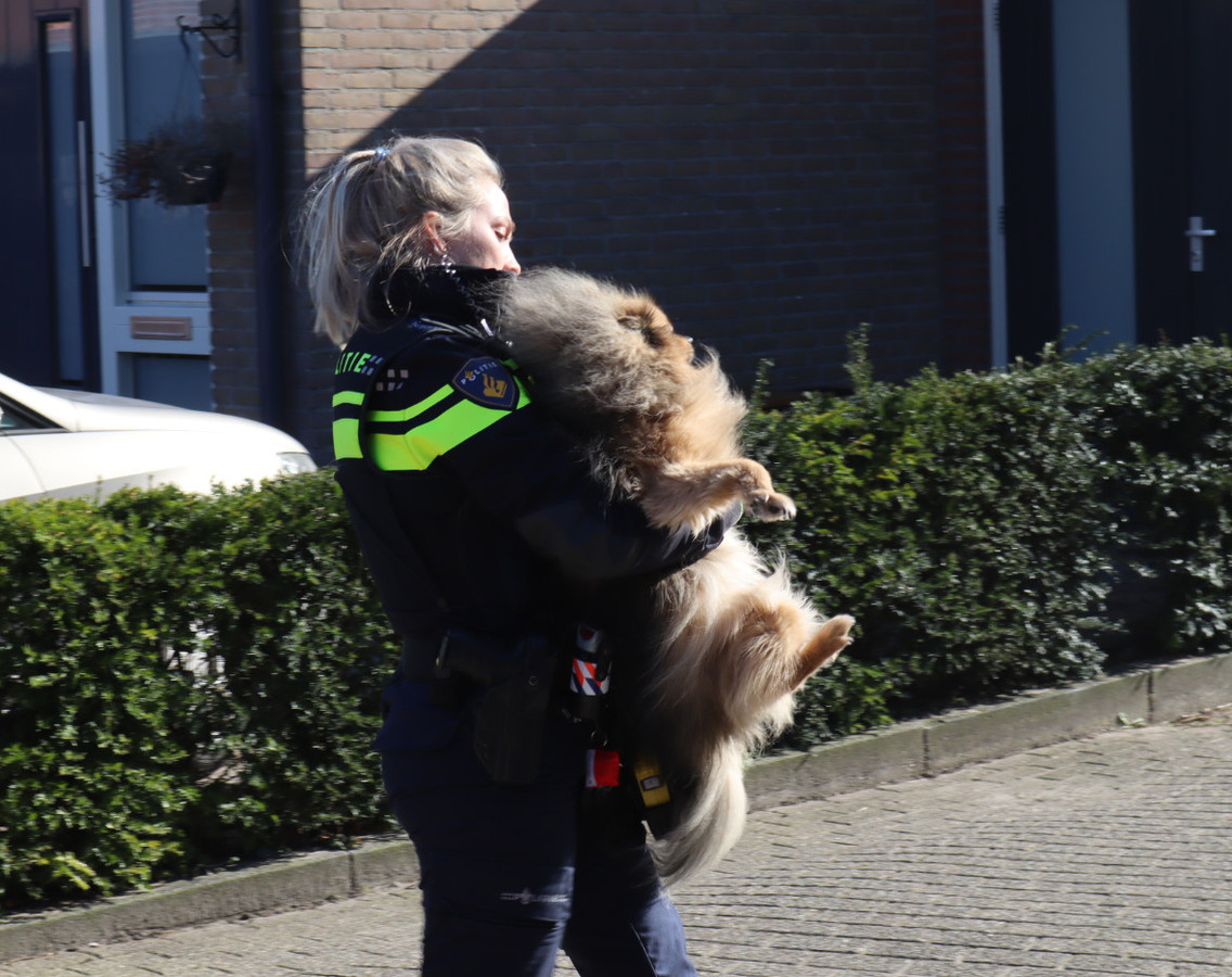 Hond uit brandende woning gered in Drunen Foto ed.nl