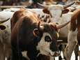 Brazilië stopt rundvleesexport naar China na geval van gekkekoeienziekte