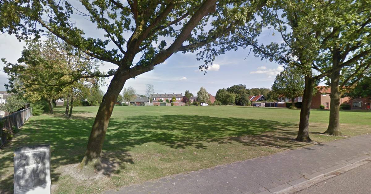 Lage Zwaluwe krijgt er 37 woningen bij: 'Voor starters, doorgroeiers en senioren' - BN DeStem