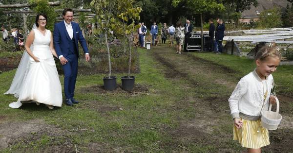 Frank en Judith beloven elkaar eeuwige trouw tussen de potplanten - De Gelderlander