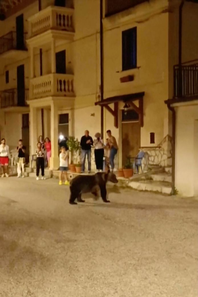 Amarena e i suoi due cuccioli a San Sebastiano dei Marsi, Italia.