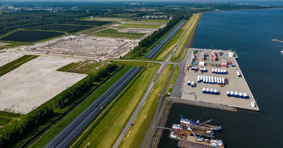 Waarom is Flevokust Haven in Lelystad zo in trek bij bedrijven? ‘Ze investeren meer dan een miljard’