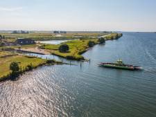 Speelnatuur op Tiengemeten blijft komend seizoen dicht: ‘Risico op zwemmersjeuk is simpelweg te groot’