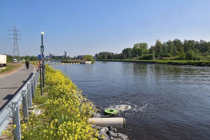In het water van de Schelde in Kerkhove kon een levenloos lichaam in het donker opgevist worden (archieffoto van de Schelde in Kerkhove ter illustratie)