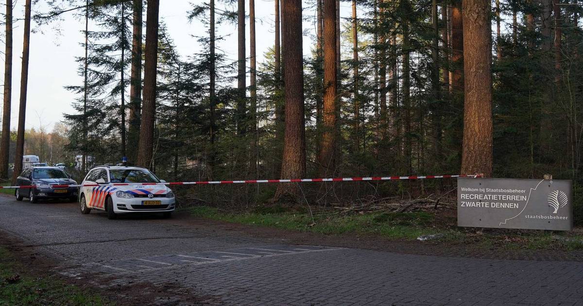 Politie vindt lichaam bij Zwarte Dennen, ‘vermoedelijk de vermiste Zwollenaar’