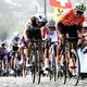 ‘De kans dat Alaphilippe de Ronde van Vlaanderen wint? Klein! Hij heeft een nieuw lief’