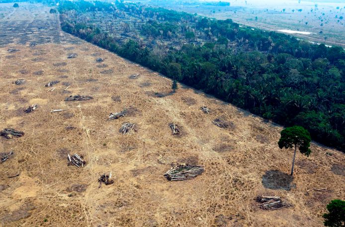 Cette photo d'archive prise le 24 août 2019 montre une vue aérienne de zones brûlées de la forêt amazonienne, près de Porto Velho, dans l'État de Rondonia, au Brésil. Un cinquième des exportations brésiliennes de soja et de bœuf vers l'Union européenne (UE) proviennent de terres illégalement déboisées, selon une enquête.