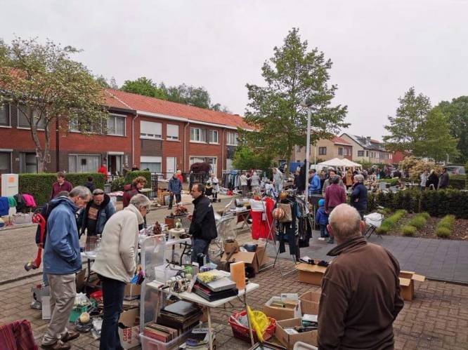 Rommelmarkt in Bomenwijk van Kapellen beleeft 12de editie 