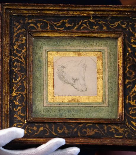 Peperduur beertje: tekening van Leonardo Da Vinci geveild voor ruim 10 miljoen euro