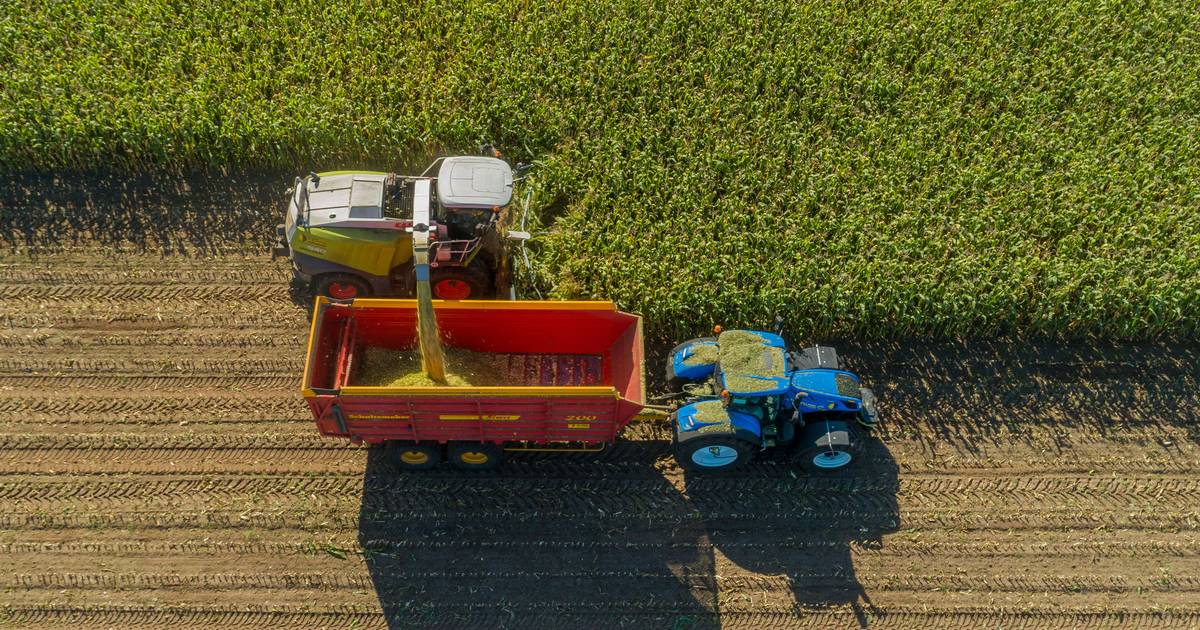 Na jaren procederen komt er een einde aan hakselaar-ruzie tussen Twentse ondernemers - Tubantia