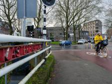 Strijd om twee bomen: aanleg vertraagd van rotonde in Den Bosch die ‘volstrekt overbodig is’