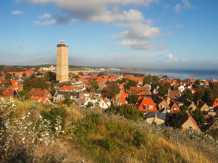 In het najaar draait alles op Terschelling om cranberry's - Trouw