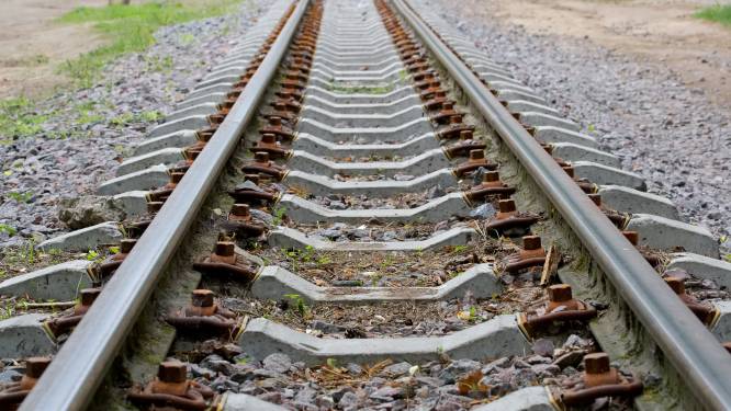 Une jeune femme délibérément poussée sur les rails d'une gare aux Pays-Bas, une suspecte arrêtée