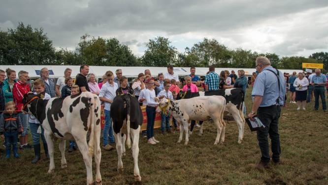 Plots is er wéér die onzekerheid voor evenementen op de Veluwe: ‘Het is eigenlijk ondoenlijk’