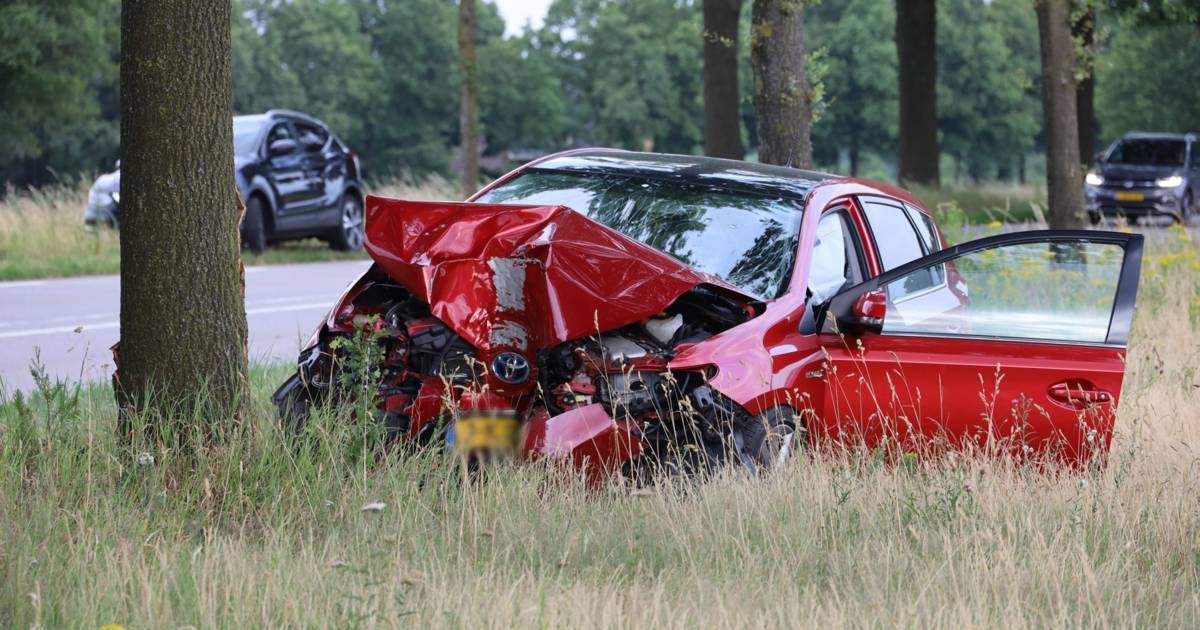 Man gewond na botsing tegen boom op N277 in Zeeland.