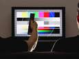 Slecht nieuws voor 360.000 klanten: Telenet maakt komaf met analoge tv
