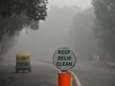 “Airpocalypse” à New Delhi: le ministre de la Santé conseille de manger... des carottes