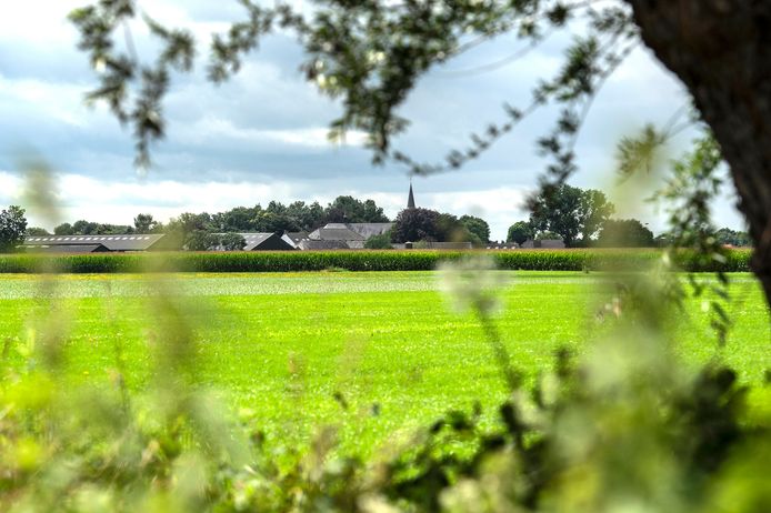 De Willemspolder is een mogelijke locatie.