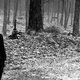 Graham Nash - This Path Tonight