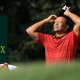 Opkomst, ondergang, wederopstanding: het opzienbarende leven van Tiger Woods