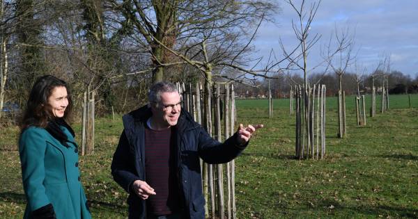 Provincie steekt miljoenen in boerengrond om te helpen met mestkringloop en natuur - BD.nl