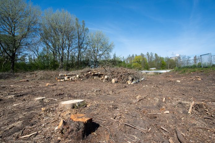 Impressie van de kaalslag aan de Kanaalweg-Oost in Geertruidenberg.