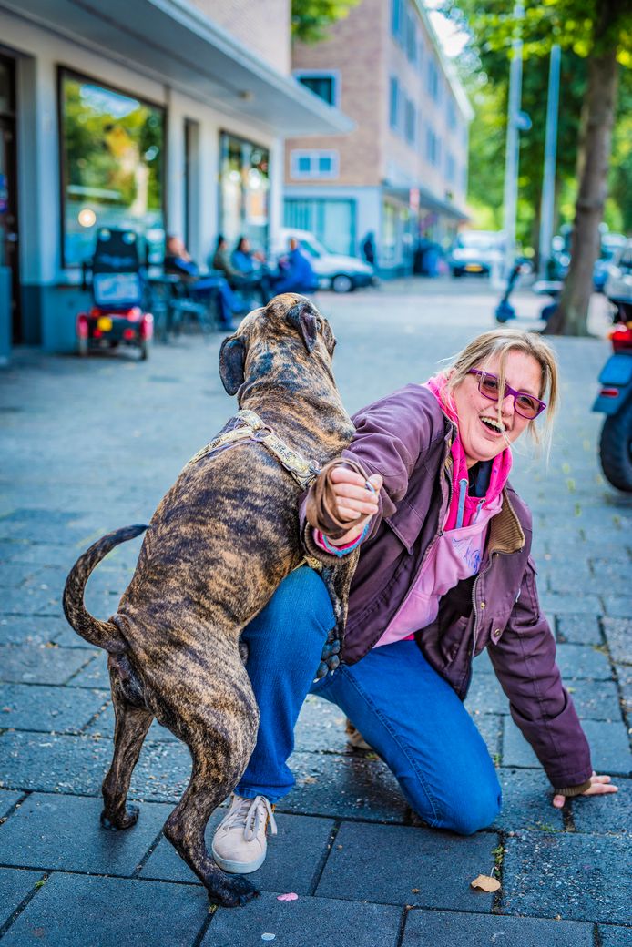 Mijn Benen Zijn Helemaal Blauw Door Mijn Hond Den Haag Ad Nl